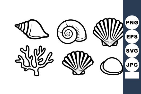 Seashell & Coral Vector Collection Wit