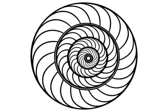 The Power of Minimalism: Understanding Abstract Spiral Seashell Line Art in Modern Design